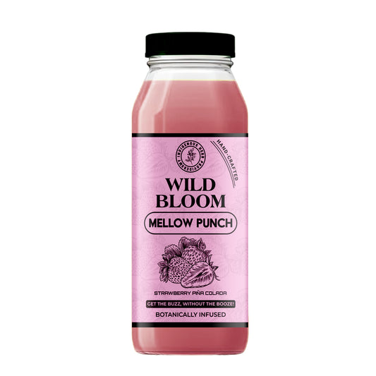Mellow Punch Strawberry pina Colada 12oz