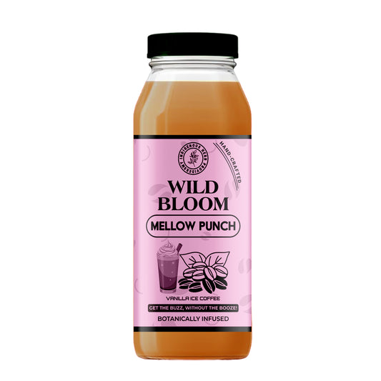 Mellow Punch Vanilla Iced Coffee